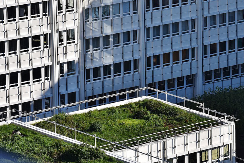 Dachbegrünung – Ihre grüne Oase auf dem Dach Dachbegruenung-002