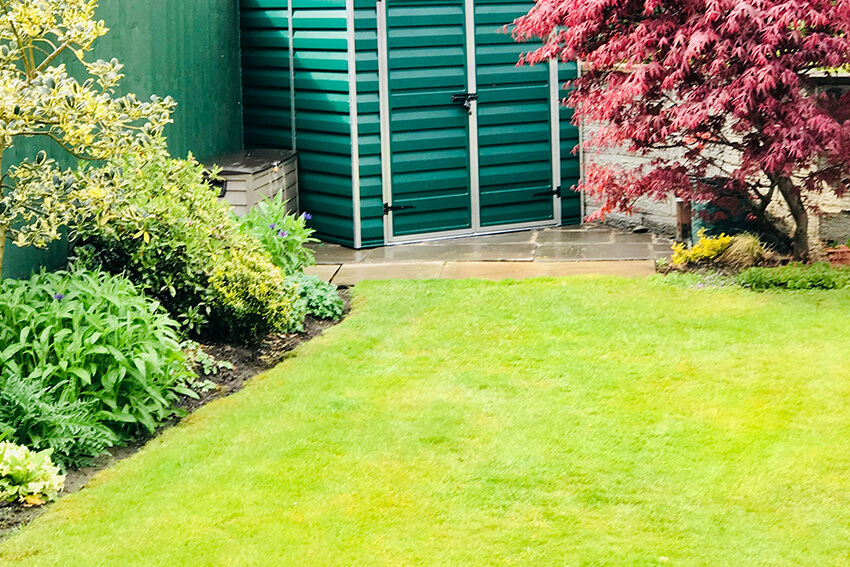 Verlegung von Rollrasen rollrasen-001