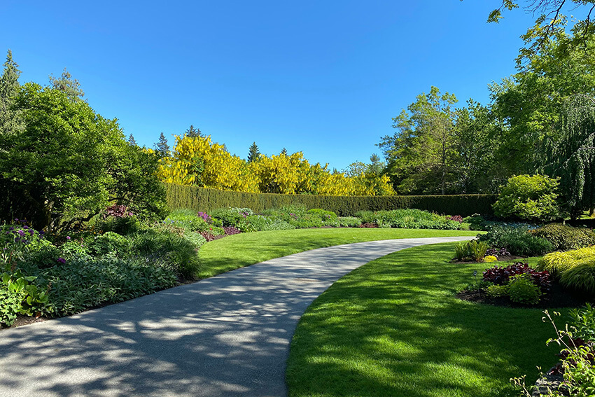 Verlegung von Rollrasen rollrasen-002